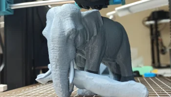 Elephant 6