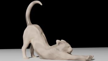 Кот: Растягивающийся кот