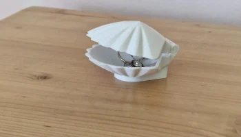 Shell 2 2