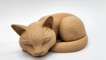 Спящий кот 4