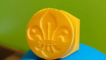 Международный скаут fleur de lis woggle - Canuto o pasa pa&ntilde;u 2