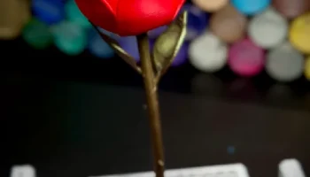Rose 1