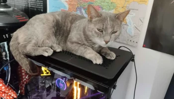 Платформа Cat для ПК в корпусе Tower 1