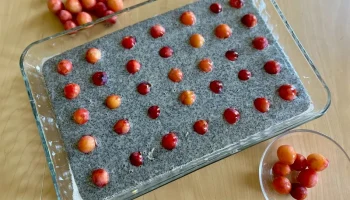 Средство для удаления косточек из вишневой косточки...... 6
