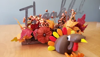 Mr. Turkey
