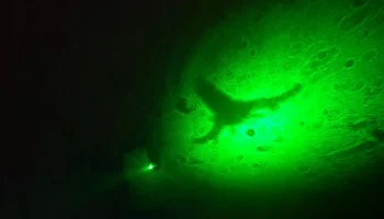 ЛАЗЕРНЫЙ микроскоп своими руками 10$ - Microscopio LASER .. 3