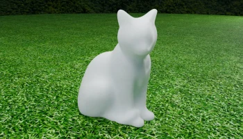 Cat 4