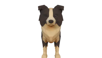 Бордер-колли низкополигональная 3D модель......