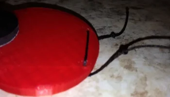 Cardinal 5