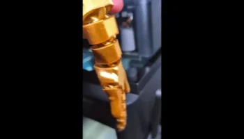 Золотая гибкая собачка!