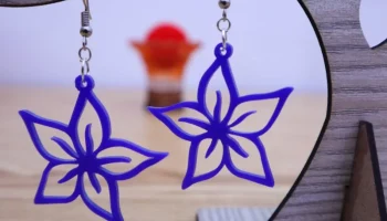 Earrings 2