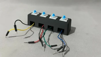 Центральный Де Ботонес 4 1