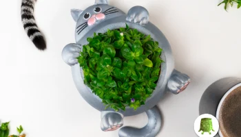 Массивный горшок для растений для кошек...