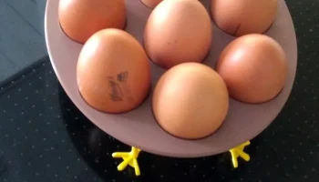 Дизайнерская система хранения подставок для яиц Курица, З... 2