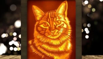 Световой короб для портретов кошек (кошачья голова)... 2
