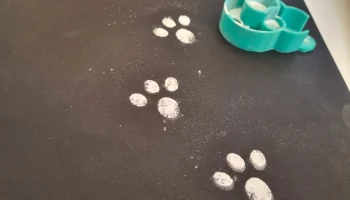 Создатель следов пасхального кролика... 4