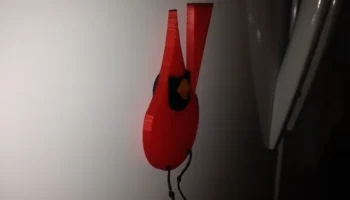 Cardinal 4