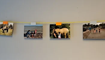 Photo Clip 1