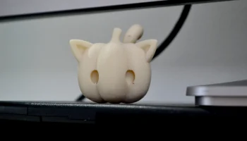 тыквенный кот