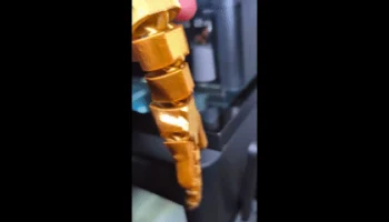 Золотая гибкая собачка! 2