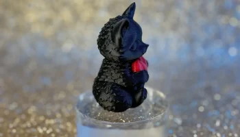 Кот сердца 6