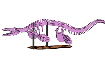 Набор 3Dino Puzzle Museum DX, том 2 5