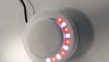 Открытый бутон 5