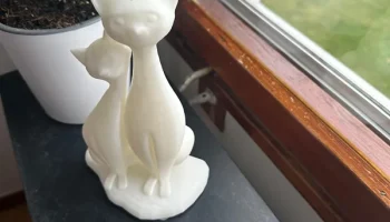 cat 2