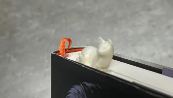 3D закладка Кот