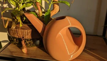 Лейка