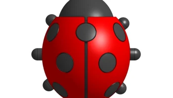 Божья коровка (берушка) 2