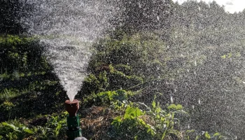 Простой шлейфовый спринклер/водоструйный аппарат (печать ... 2