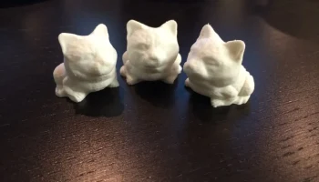Toad Cat Toad Cat