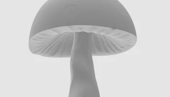 Mushroom Mushroom